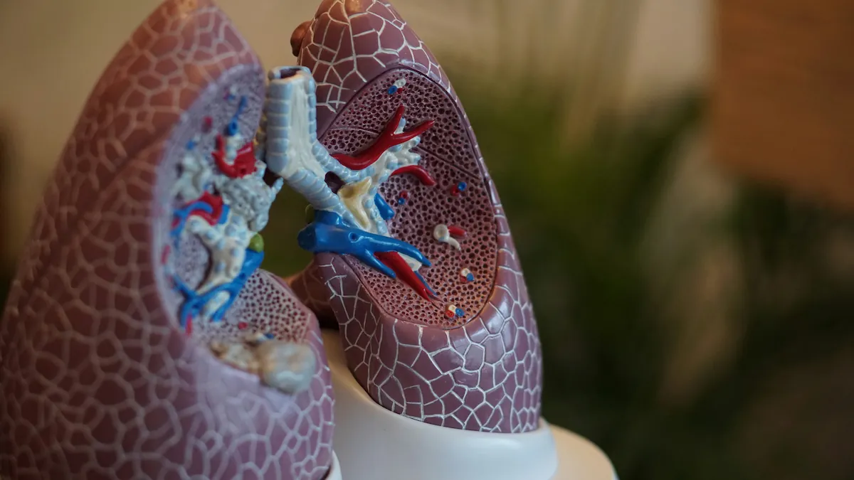 COPD Care in Manchester, CT — Breathe Better, Live Fully